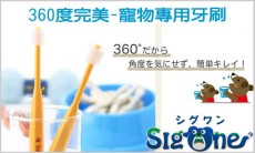 寵物牙刷 日本進口Sigone 360度都牙刷-日本限量進口 黃色中小型犬用 