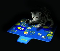 PetStages flashing firefly mat 夜光玩具墊 